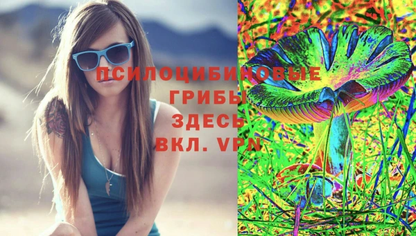 шишки Зерноград