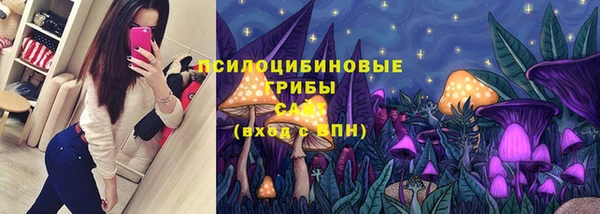 прущие крисы Зеленокумск