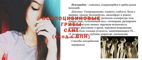 прущие крисы Зеленокумск
