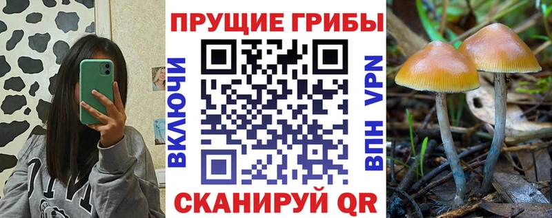 Псилоцибиновые грибы Magic Shrooms  Купить  Елабуга 